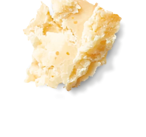 Fresh filled pasta